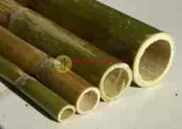 Bambu Kaplama Sistemleri