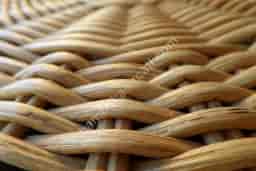 Rattan Nedir? Rattan İle Neler Yapılır?