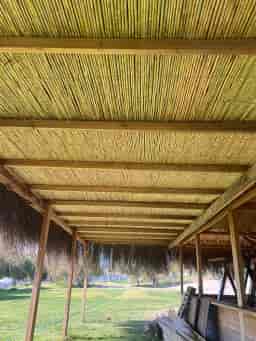 Bambu Gölgelik