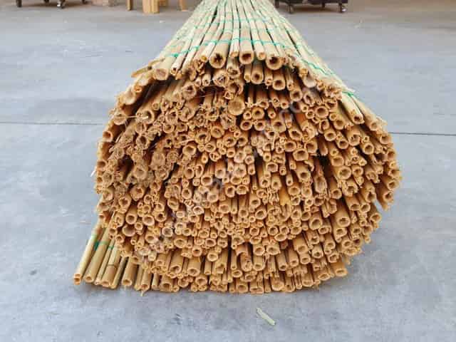 Saz Kamış Rulo