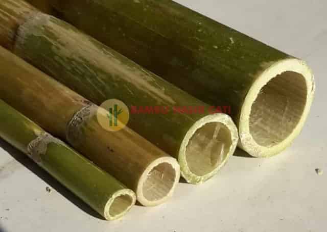 Bambu Kaplama Sistemleri