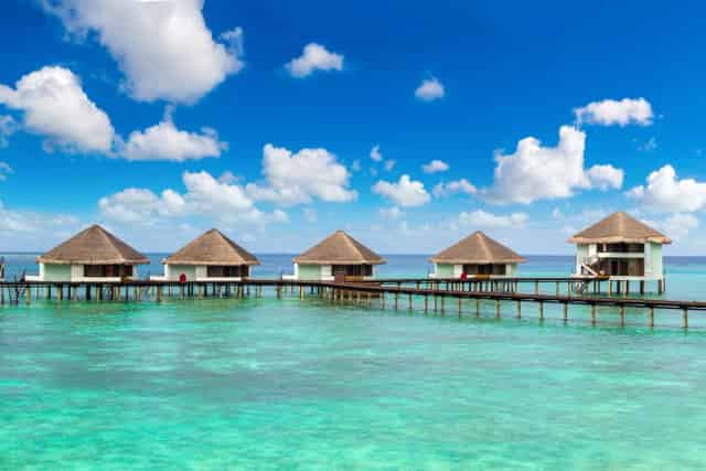 İstanbul Saz Hasır