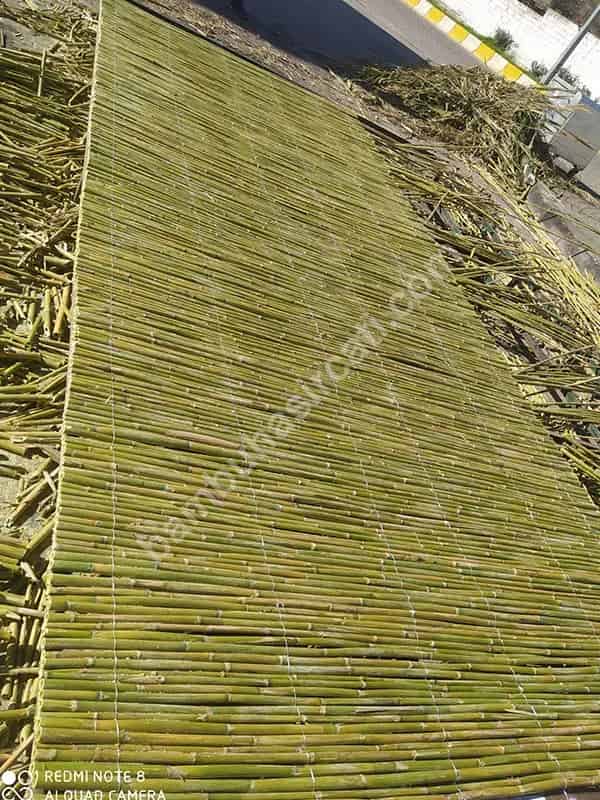 Bambu Çit