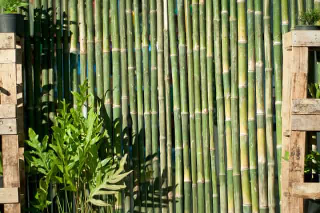 Hasır Bambu Dekorasyon