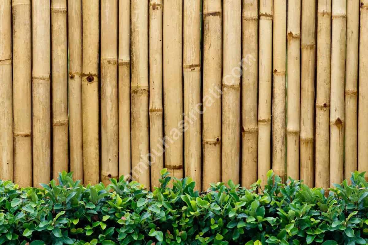 Bambu Çit Montajı Nasıl Yapılır?