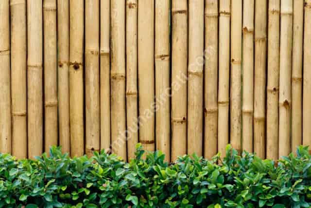 Bambu Çit Montajı Nasıl Yapılır?