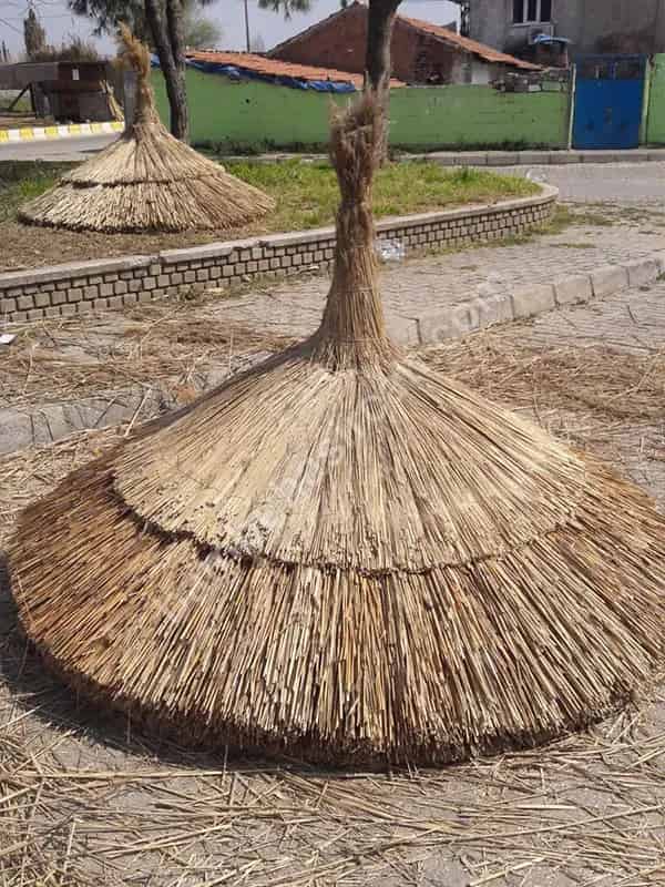Bambu Şemsiye