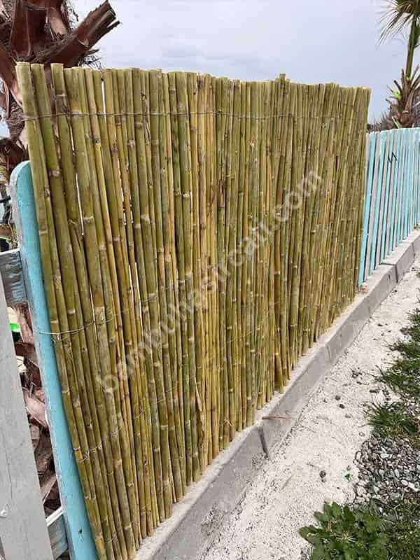 Bambu Ürünler