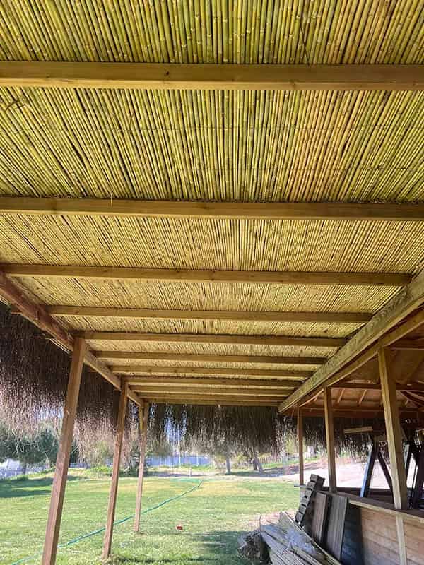 Bambu Gölgelik