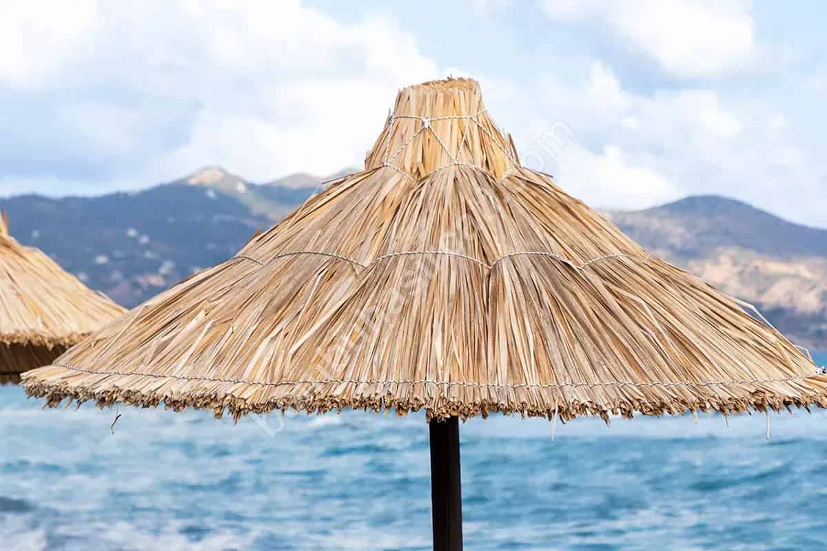 Bambu Dekorasyon Önerileri