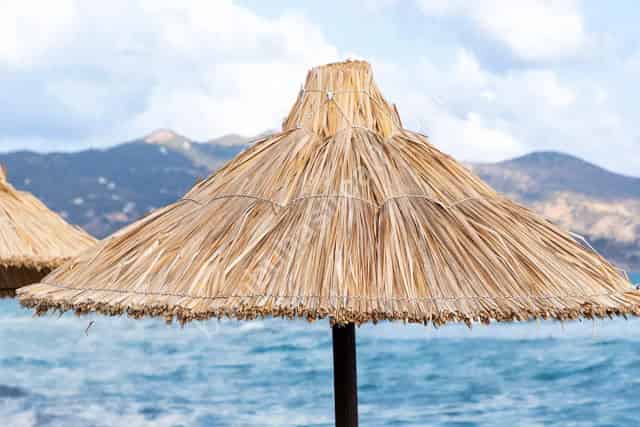 Bambu Dekorasyon Önerileri