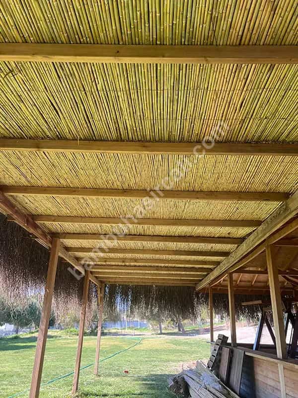 Bambu Çatı Kaplama