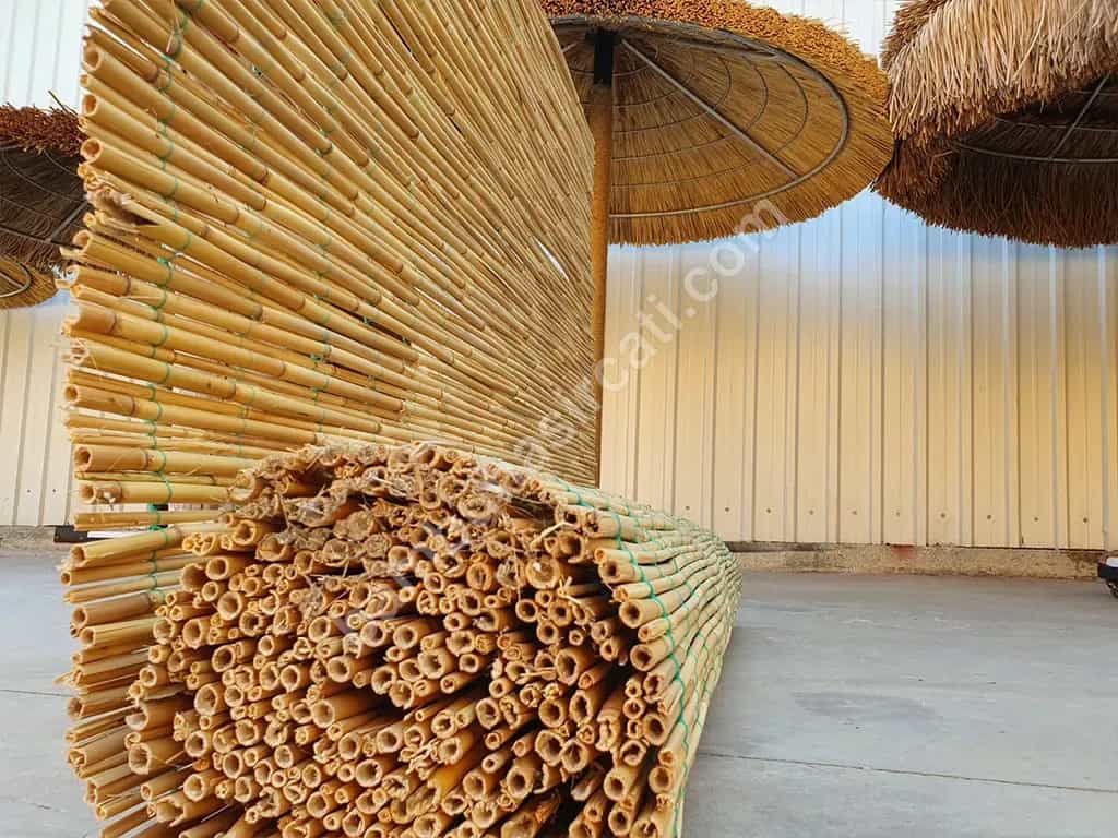 Saz Kamış Rulo