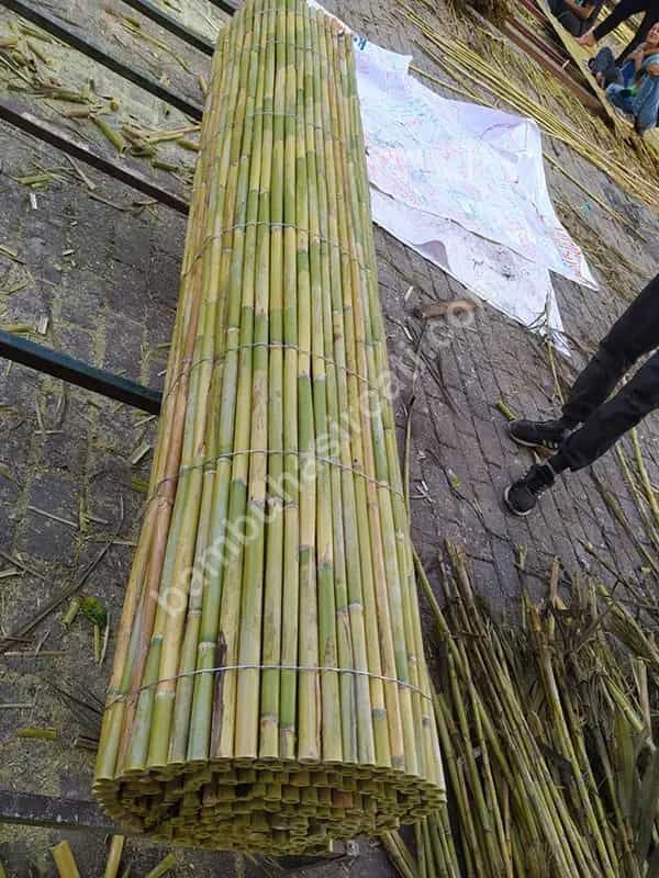 Bambu Ürünler