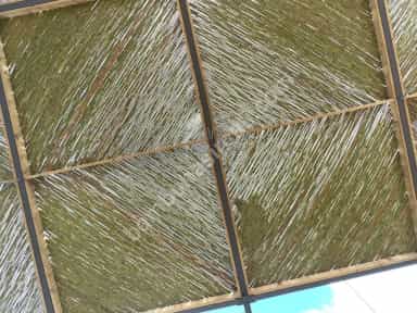 Bambu Kamış İle Bambu Çatı Yapımı