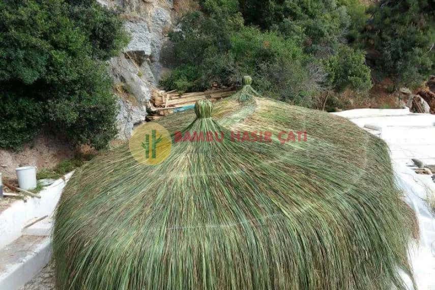 Saçaklı Ot Kaplama
