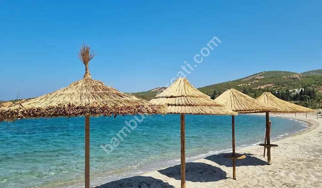 Kamış Şemsiye