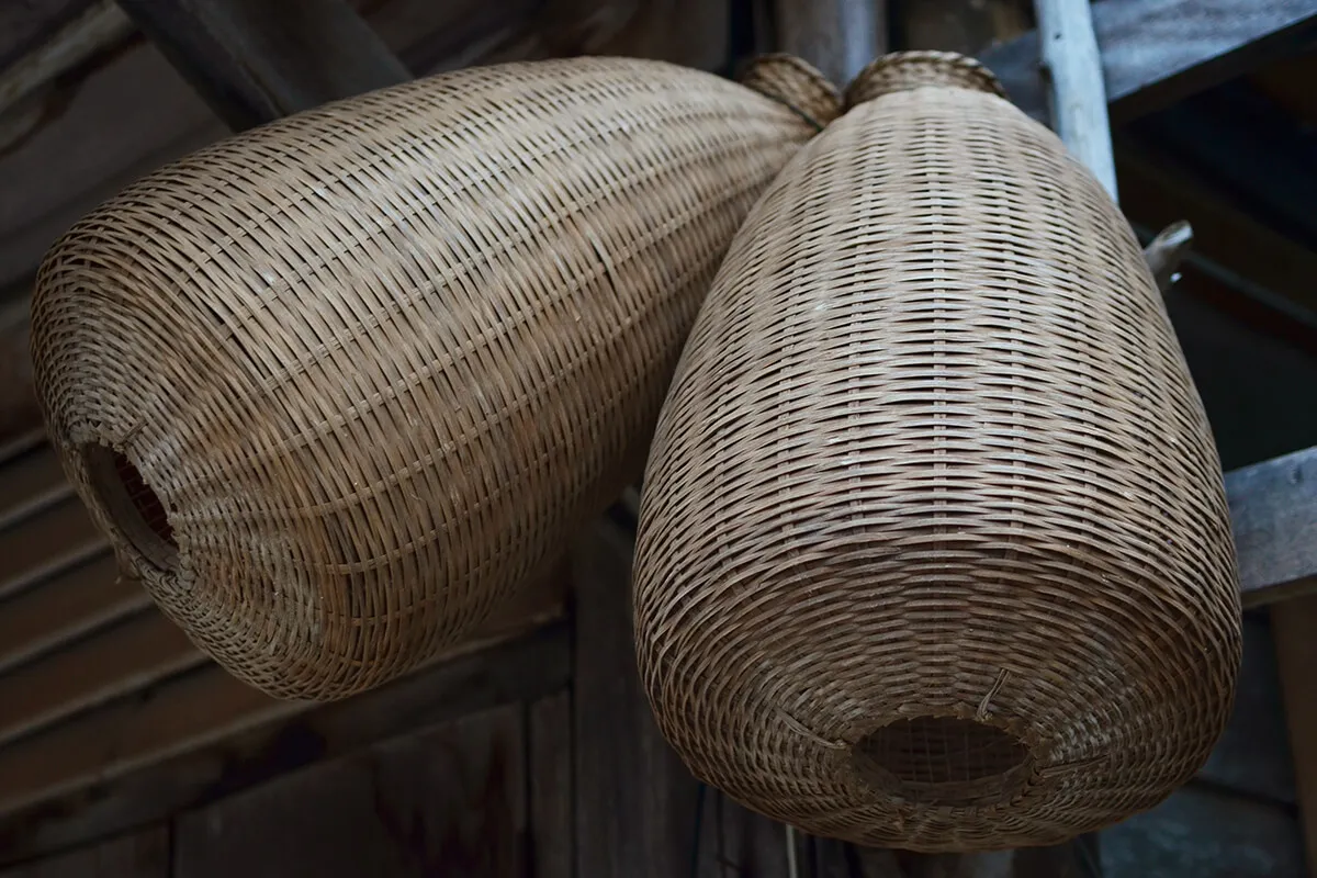 Bambu