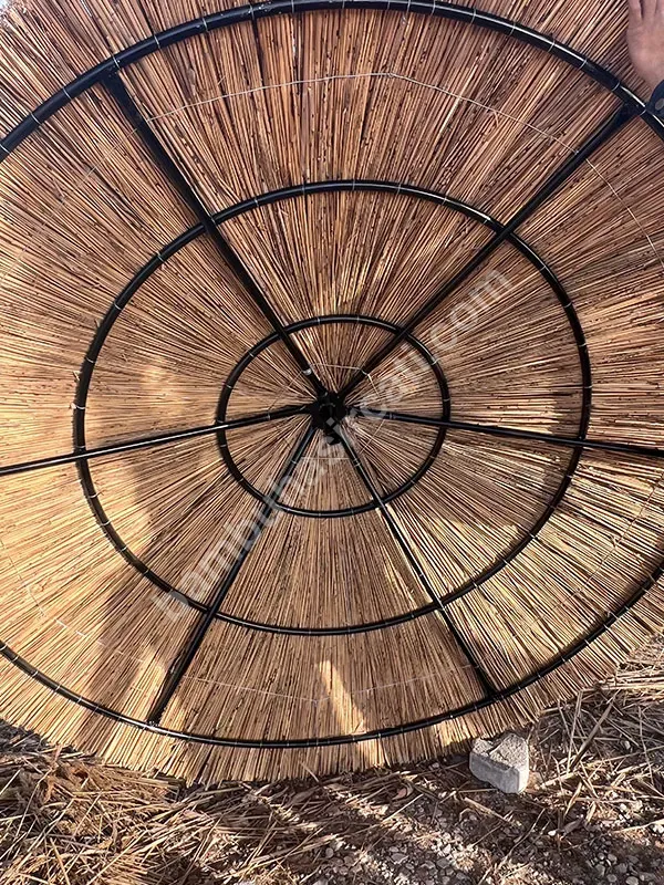 Bambu