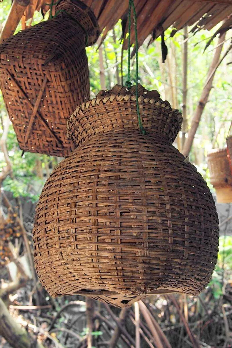 Bambu