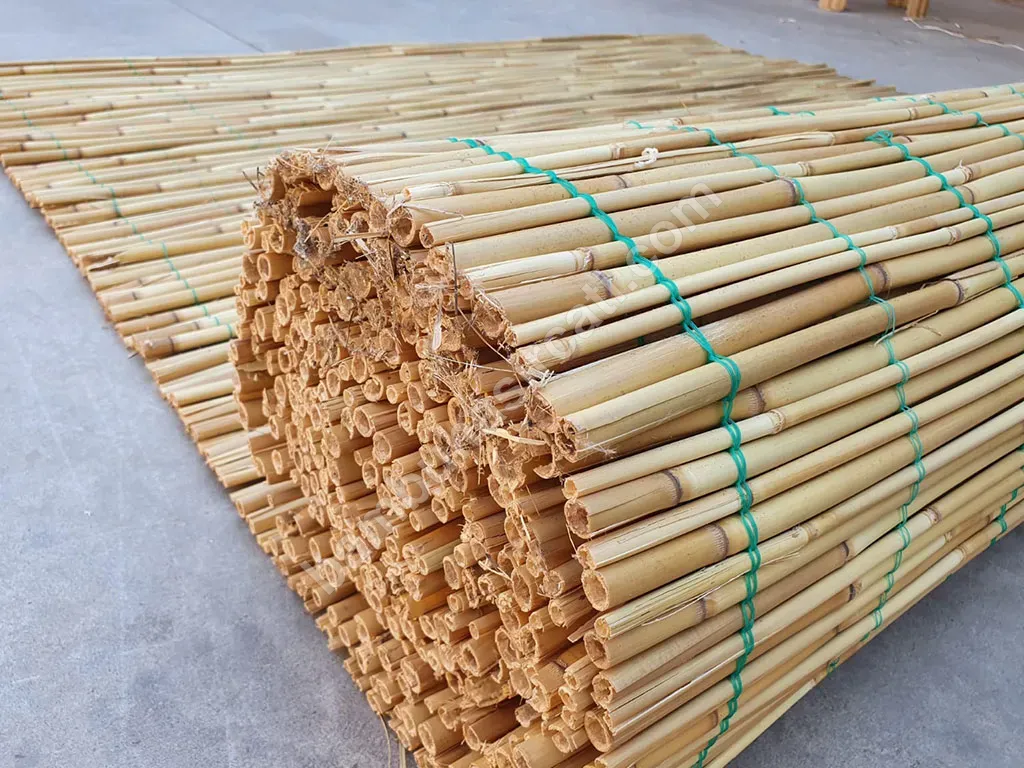 Bambu