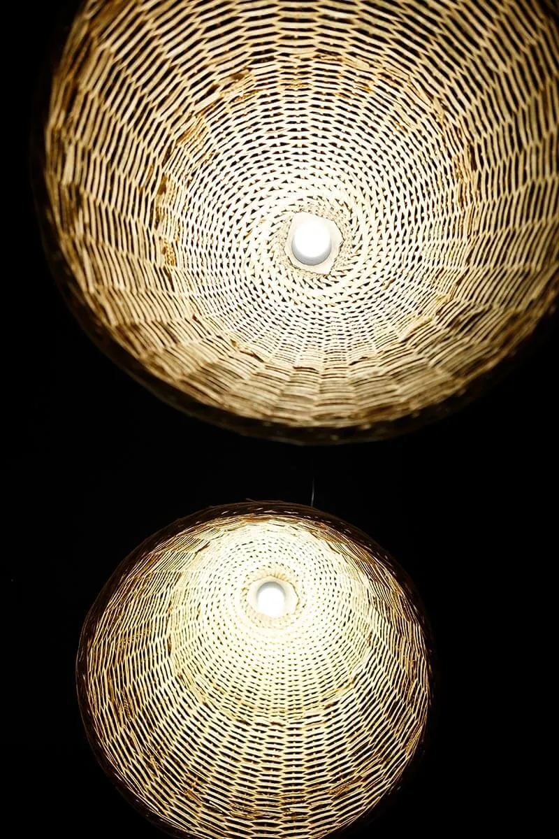 Bambu