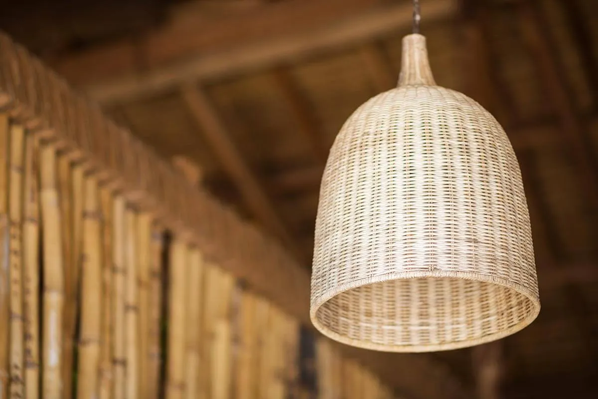 Rattan