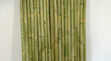 Sera Destek Bambu Kamışı
