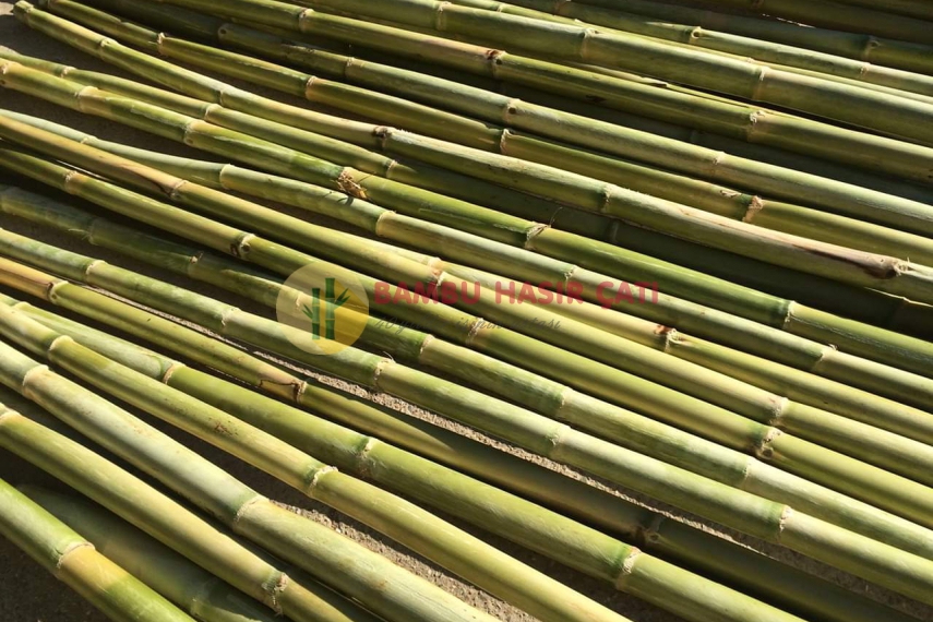 Bambu Çubukları