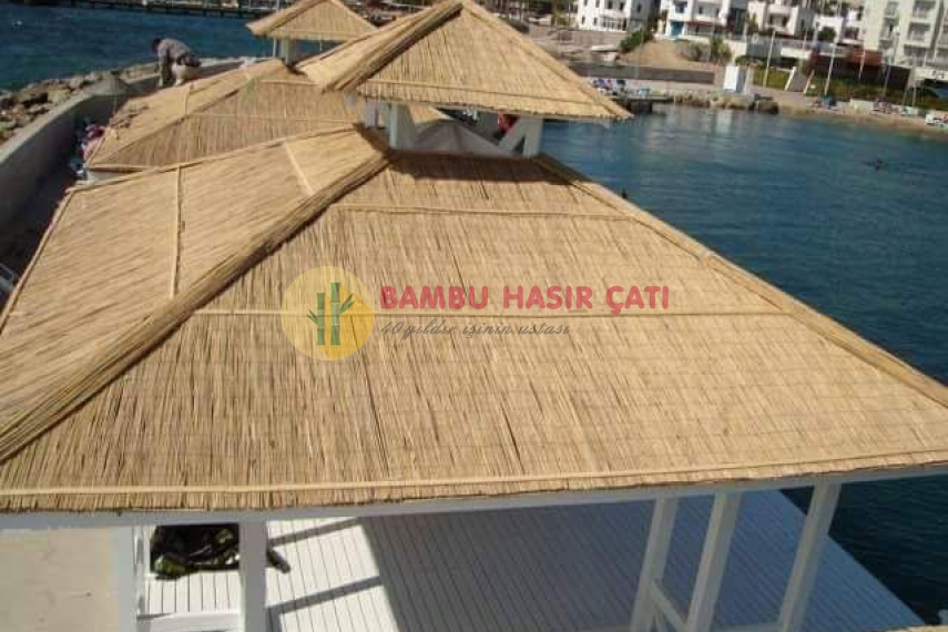 Çatı kamışı