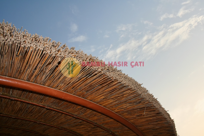Kamış Çatılar