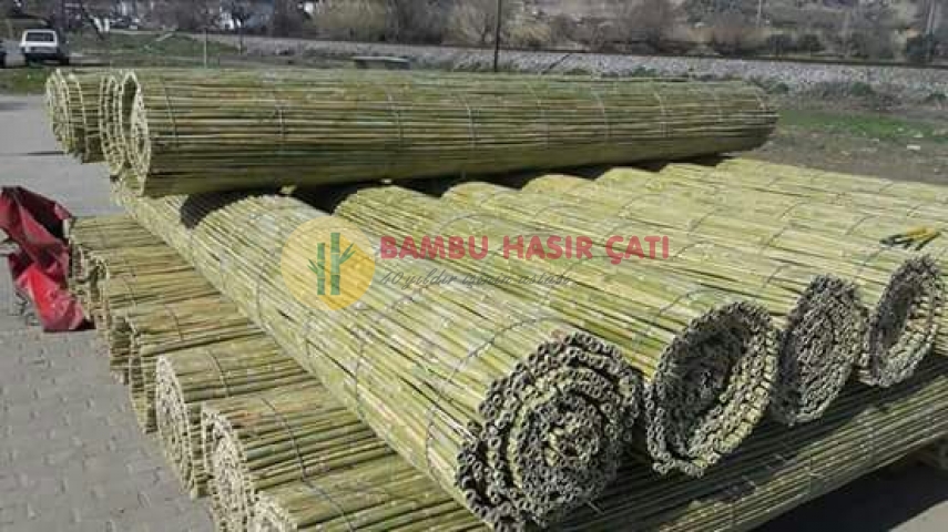 Kamış Uygulamaları
