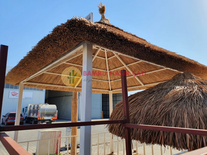 Uzakdoğu Çatıları